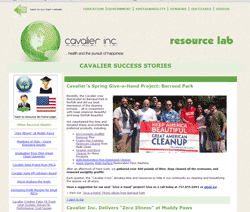 Example-MicroSite